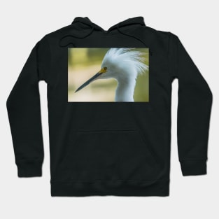 Snowy egret with a mohawk Hoodie